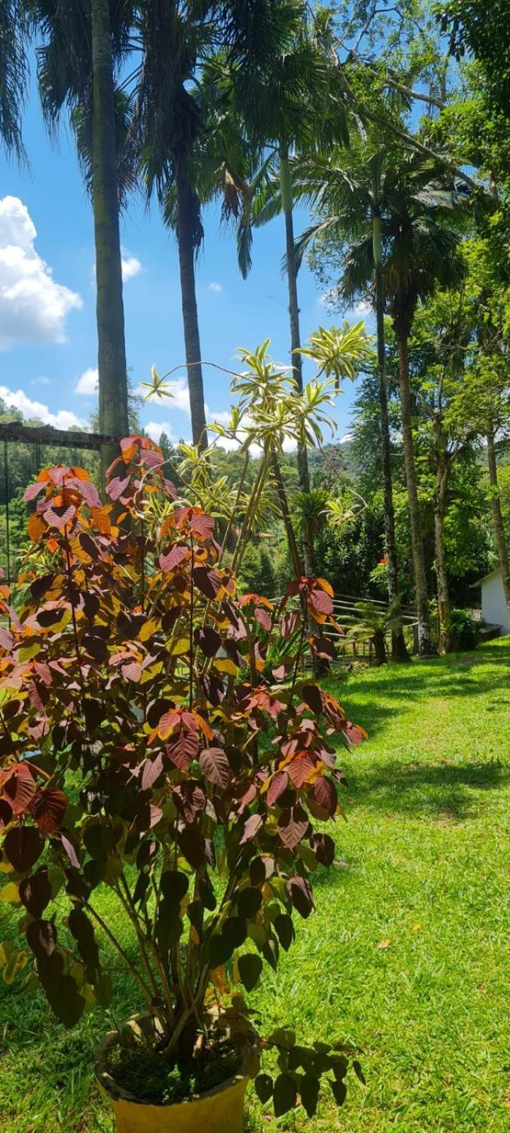 Sitio Saramandaia Villa Juquitiba Bagian luar foto